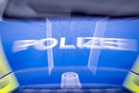 'Culture of violence:' German police launch raid on young neo-Nazis