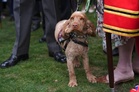 Surprise guest takes centre stage at Buckingham Palace garden party