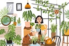 Can houseplants really purify the air in your home?What the science actually says