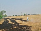 19 farmers in Haryana’s Kurukshetra to face FIRs for burning crop residue