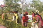 18 kg plastic waste collected from Yamunanagar’s Lado Laxmi Park