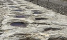 Scientists Have Just Uncovered the World’s Longest Dinosaur Footprint Trail Still Well-Preserved in French Rock