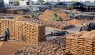 India’s foodgrain stocks reach 604.02 lakh tonnes: Govt