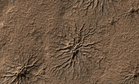 NASA’s Curiosity Rover Uncovers Strange ‘Spiderwebs’ on Mars, Hinting at Longer Life-Sustaining Water