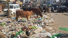 Why are streets turning into dump yards in Haryana