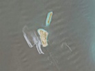 Large oil slick detected near Iran’s Kharg Island: Report