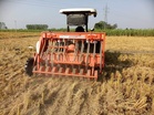 10 farmers of Nawanshahr felicitated for zero stubble burning