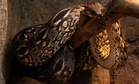 Inside a Mine in India, Scientists Unearth 15-Meter-Long Snake Fossil, Rivalling Titanoboa in Size
