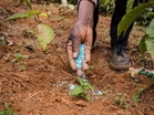 India importing urea, soil nutrients to ensure availability of fertilisers for kharif season: Govt
