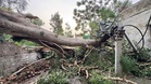 Storm wreaks havoc on PSPCL network in Doaba, losses pegged at Rs 92 lakh