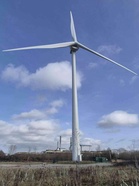 What your local council can actually do to tackle the climate crisis