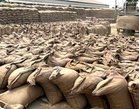 After paddy, wheat purchase under lens