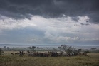 Conserving 30% of the planet will only succeed if people are part of the plan