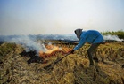 Amritsar Rural police register 95 FIRs in massive crackdown on stubble burning