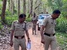 Wild Elephant kills resident outside home in Malampuzha; family members narrowly escape