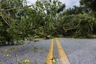 4 youths escape unhurt after tree falls on bikes in UP’s Balrampur