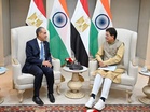 Piyush Goyal meets Egyptian Foreign Affairs Minister to explore avenues in AI, pharmaceuticals