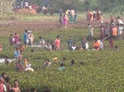 Tamil Nadu: Centuries-old fishing festival celebrated in Kallandhiri village near Melur