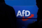 Putin confidant calls far-right AfD the 'hope for Germans'