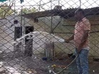 Special arrangements at Bathinda zoo to protect wildlife from rising heat