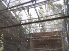 Dehradun Zoo steps up heatwave protection measures for animals amid rising temperatures
