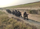 CISF conducts joint counter-terrorism mock exercise at Delhi's IGI Airport to test emergency preparedness
