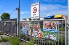 German prosecutors open negligence probe after escaped tiger shot dead