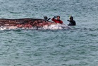 No plans to move dead whale off Denmark as people climb carcass