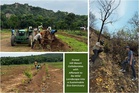 Forest Hill Resort (FHR) Collaborates with Afforestt to Re-Wild Landscape into a Sustainable Eco-Sanctuary