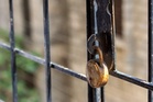 Parents lock government school in Haryana’s Sirsa over staff shortage, water crisis