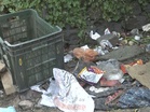 Garbage piles up in Shimla amid peak tourist season as SEHB sanitaion workers strike enters 5th day: Mayor appeals workers to call off strike