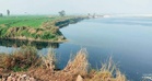Pollution board steps up drive to make Yamuna pollution-free