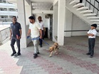 Around 12 private schools in Bathinda receive bomb threat emails; search operation under way