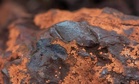Researchers Examining a Meteorite Fragment Discovered Strange Microfossils Buried Deep Inside