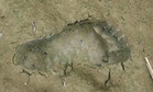 Archaeologists Uncover A Forgotten Superhighway Covered With 8,000-year-old Human And Animal Footprints Along The UK Coast