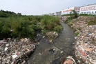 Chandigarh Administration plans ‘City Forest’ in Sukhna Choe area