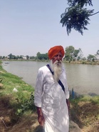 At 82, Ajnala farmer revives integrated agri model