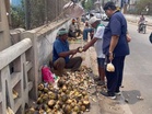 Telangana: Demand for ice apples surges in Hyderabad as summer intensifies