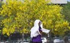 No relief in sight: Tricity faces orange-alert heatwave as Saturday storm warning fails
