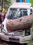 Close shave for tourists as tree crashes onto vehicle in Kullu