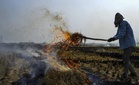 Haryana Agriculture Department takes strict action against 6 farmers in connection with cases of stubble burning