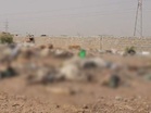 Over 300 cow carcasses found at garbage dumping site in Jaisalmer, probe ordered