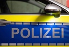 Man rescued from Munich zoo bison enclosure after shoe mishap