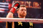 Explosive claim: Canelo Alvarez insists referee pulled Rico Verhoeven out just before a savage Usyk knockout