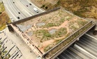After Years of Work, the World’s Biggest Animal Overpass Finally Has an Opening Date