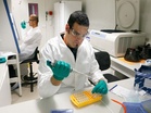 Scientists discover why some DNA-doubled cells don’t die: Study
