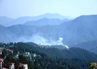 Fire breaks out in Shimla forest amid surging temperatures across Himachal Pradesh