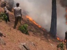 J-K: Forest fire continues to rage in Udhampur's Narthan area for three days, firefighting efforts underway
