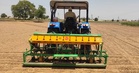 Progressive farmers spearhead transition, guide fellow growers to switch to DSR