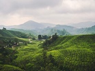 Indian Travellers Turn to Offbeat Domestic Destinations Amid Global Uncertainty and Rising Travel Costs